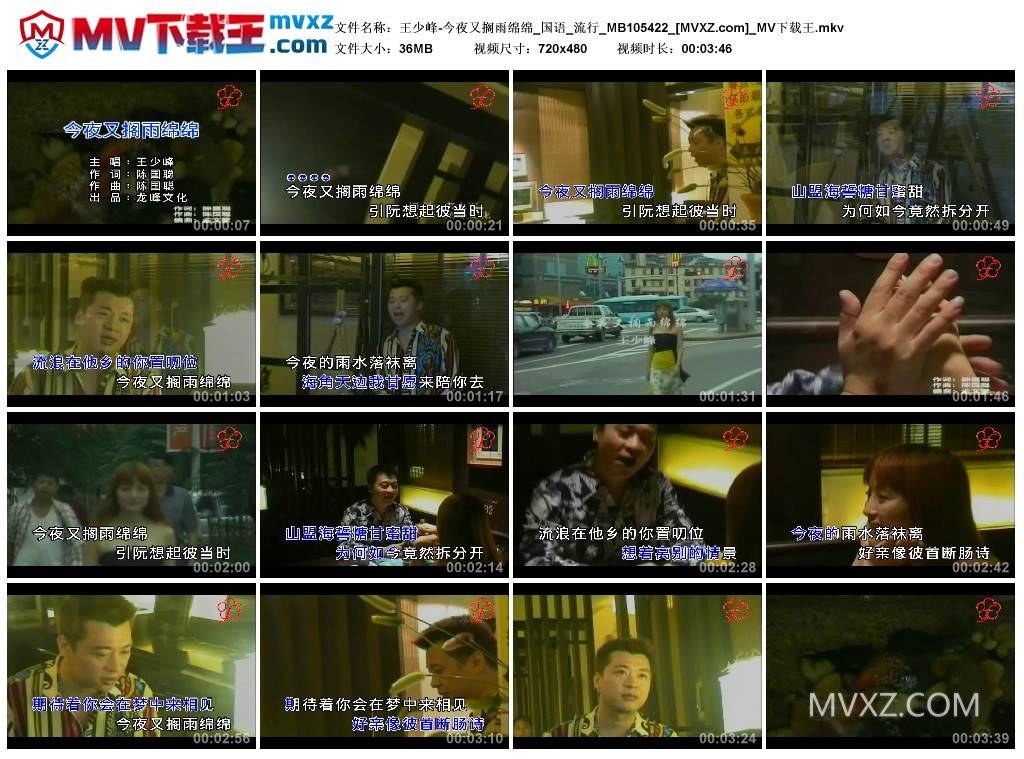 王少峰-今夜又搁雨绵绵_国语_流行_MB105422